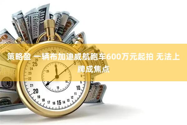 策略盈 一辆布加迪威航跑车600万元起拍 无法上牌成焦点