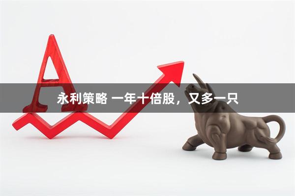 永利策略 一年十倍股，又多一只